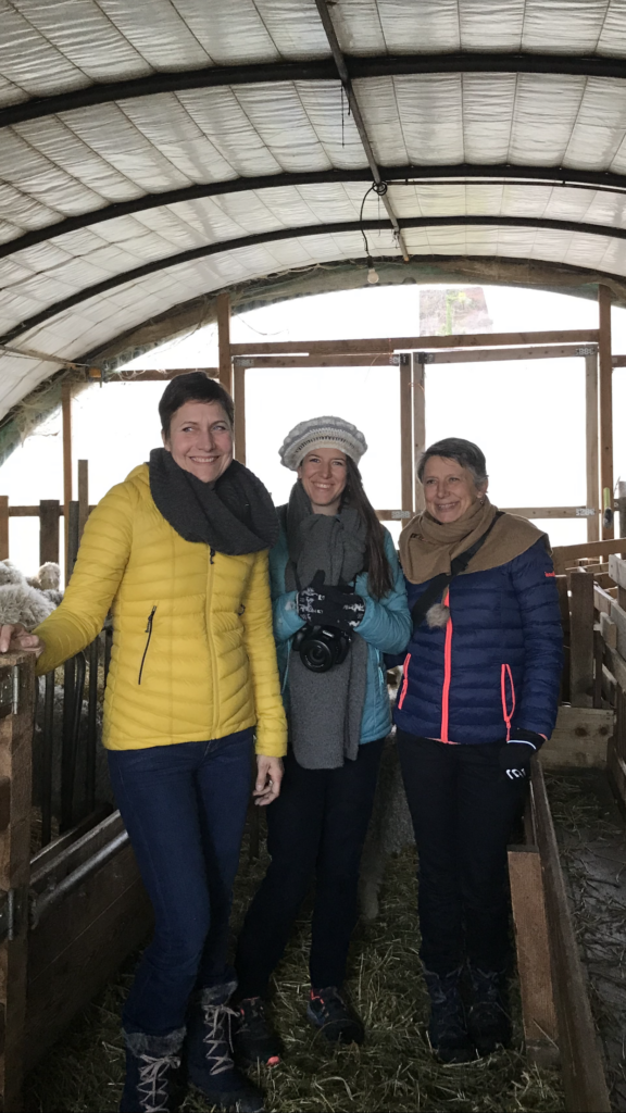 Mohair d Ardeche Weccandoo