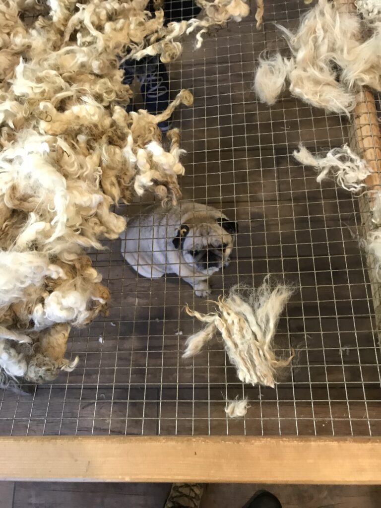 Mohair d Ardeche Weccandoo